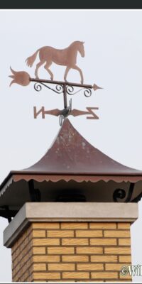 Schoorsteenkap met windwijzer en NOZW